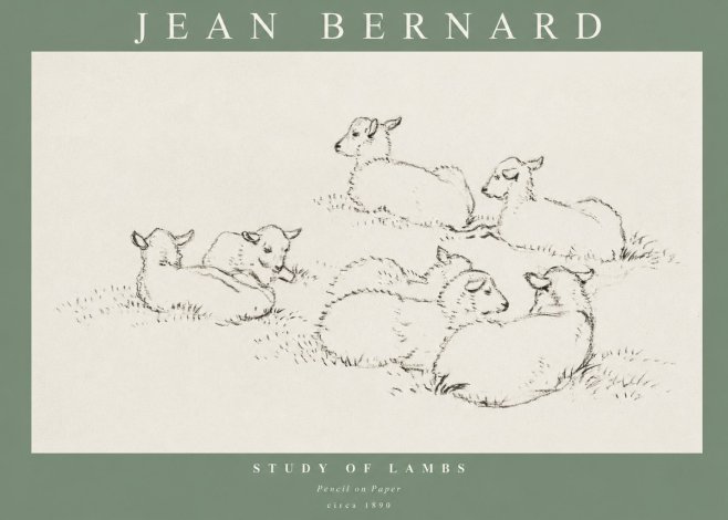 Jean Bernard Study of Lambs No1 - Plakat