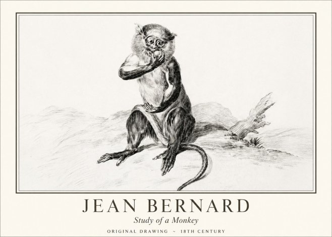 Jean Bernard Study of a Monkey No1 - Plakat