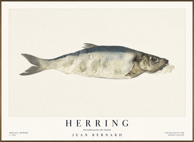 Jean Bernard Herring No1 - Plakat