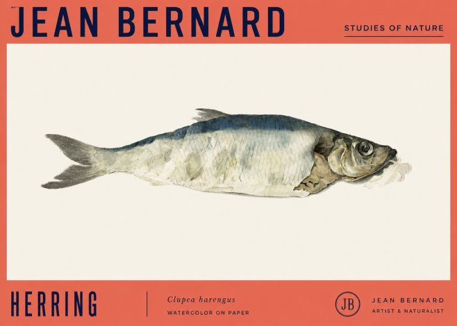 Jean Bernard Herring No4 - Plakat