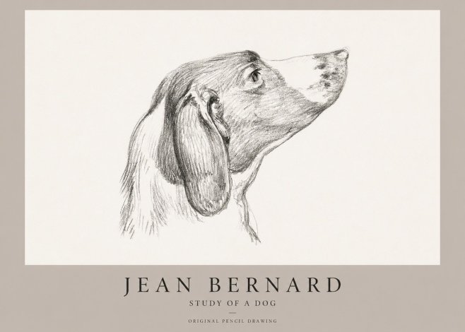 Jean Bernard Study of a Dog I No1 - Plakat