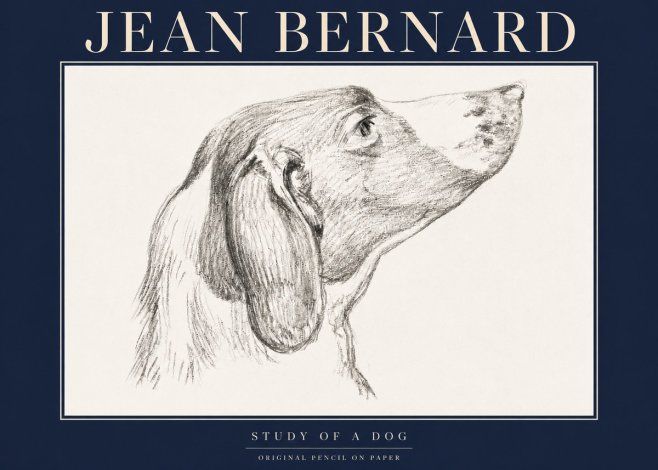Jean Bernard Study of a Dog I No4 - Plakat