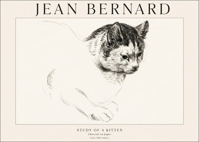Jean Bernard Study of a Kitten I No1 - Plakat