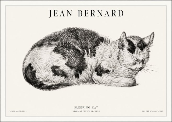 Jean Bernard Sleeping Cat I No5 - Plakat
