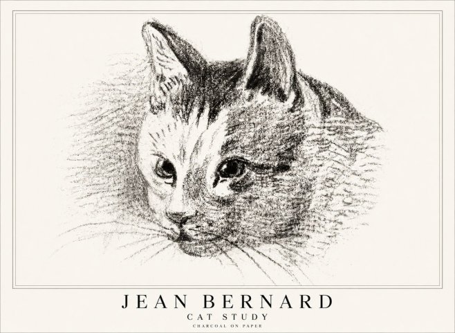 Jean Bernard Cat Study III No1 - Plakat