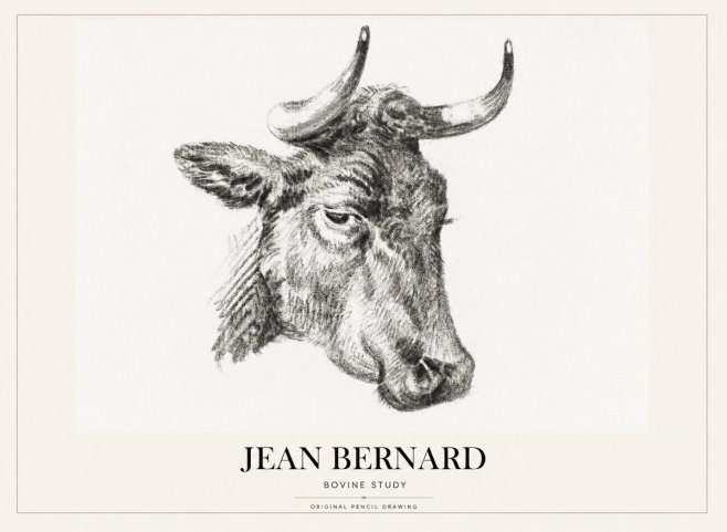 Jean Bernard Bovine Study I No1 - Plakat