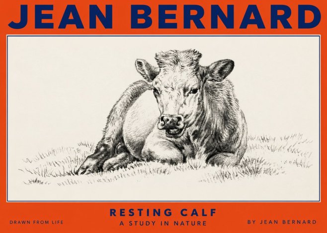 Jean Bernard Resting Calf I No2 - Plakat