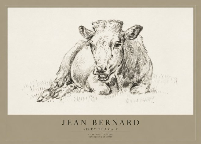 Jean Bernard Resting Calf II No4 - Plakat