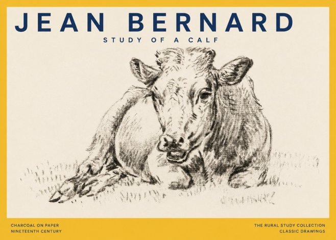 Jean Bernard Resting Calf II No5 - Plakat