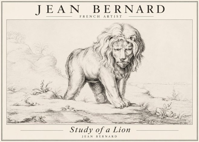 Jean Bernard Study of a Lion I No3 - Plakat