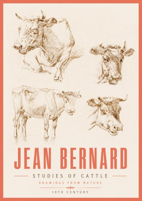 Jean Bernard Studies of Cattle II No5 - Plakat