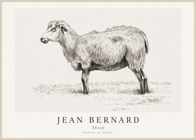 Jean Bernard Sheep No1 - Plakat