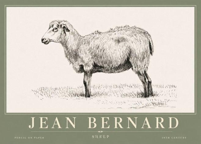 Jean Bernard Sheep No6 - Plakat