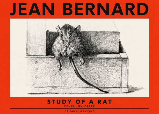 Jean Bernard Study of a Rat I No2 - Plakat