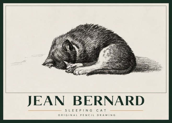 Jean Bernard Sleeping Cat III No3 - Plakat