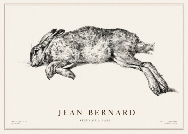 Jean Bernard Study of a Rabbit No3 - Plakat
