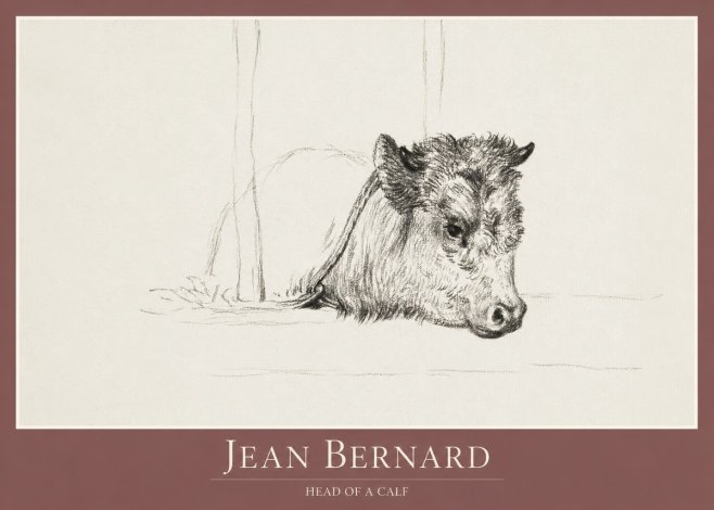 Jean Bernard Study of a Calf I No2 - Plakat