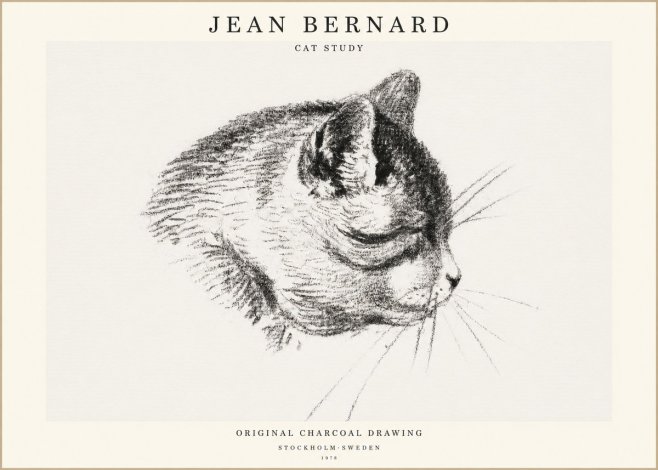 Jean Bernard Cat Study IV No1 - Plakat