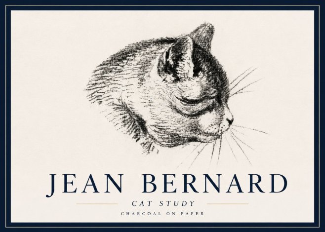 Jean Bernard Cat Study IV No6 - Plakat