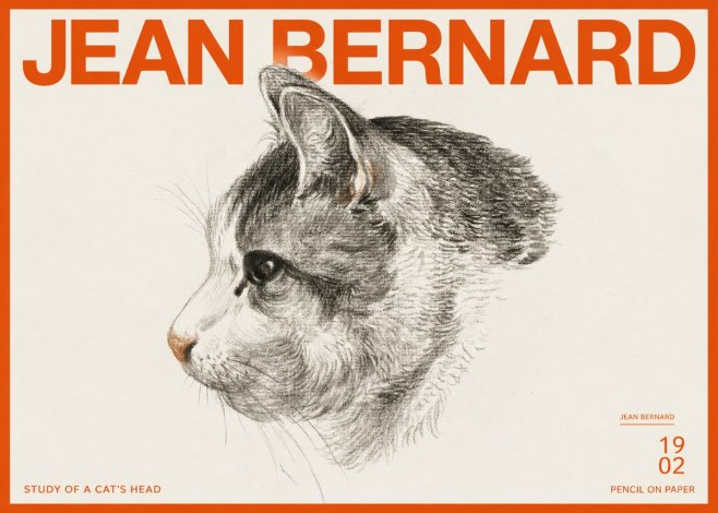 Jean Bernard Cat Study, Profile No3 - Plakat