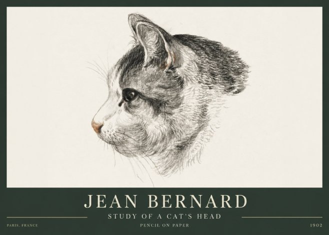 Jean Bernard Cat Study, Profile No4 - Plakat