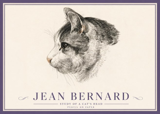 Jean Bernard Cat Study, Profile No5 - Plakat