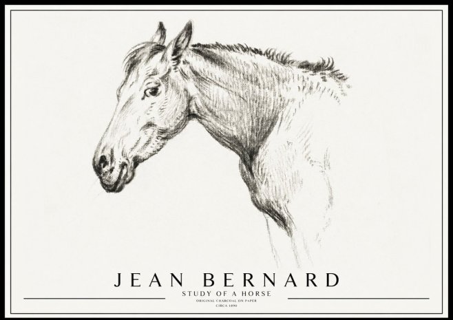 Jean Bernard Study of a Horse VI No3 - Plakat