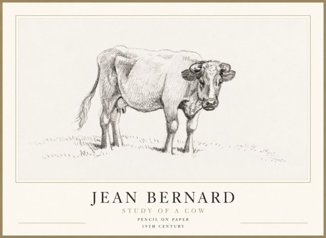 Jean Bernard Study of a Cow V No1 - Plakat