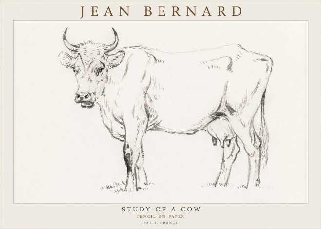 Jean Bernard Study of a Cow VI No3 - Plakat