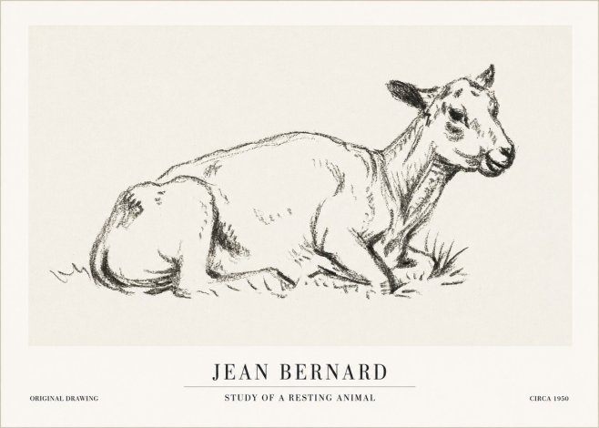 Jean Bernard Study of a Resting Animal No1 - Plakat