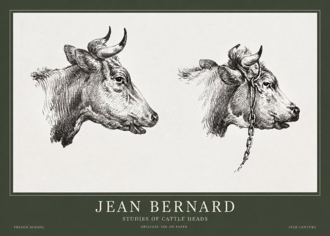 Jean Bernard Studies of Cattle Heads No1 - Plakat