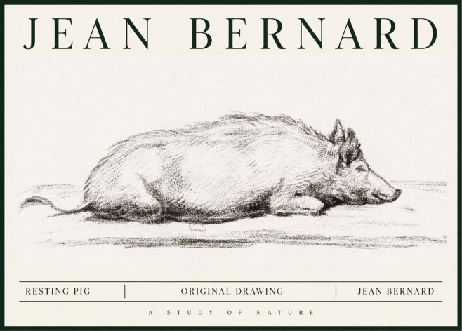 Jean Bernard Resting Pig I No1 - Plakat