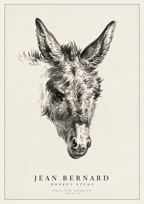 Jean Bernard Donkey Study IV No1 - Plakat