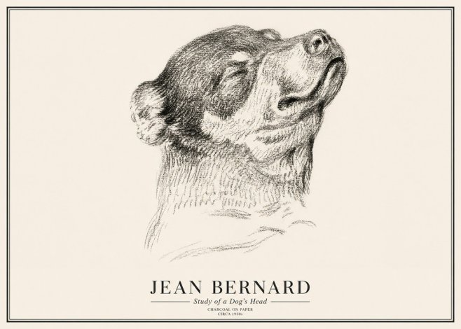 Jean Bernard Study of a Dog III No3 - Plakat