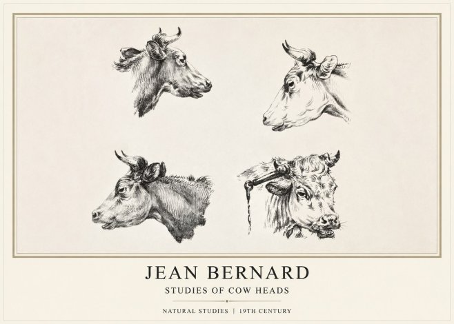 Jean Bernard Studies of Cattle - Four Heads No2 - Plakat