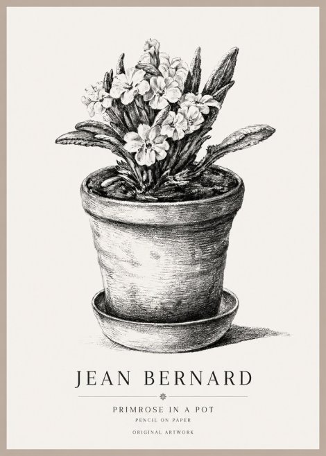 Jean Bernard Potted Primrose No2 - Plakat