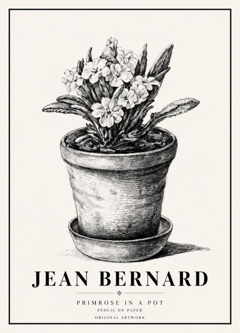 Jean Bernard Potted Primrose No6 - Plakat