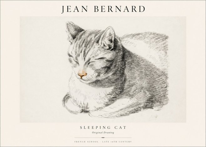 Jean Bernard Sleeping Cat VI No1 - Plakat