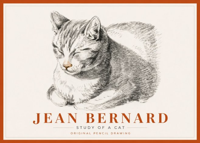 Jean Bernard Sleeping Cat VI No6 - Plakat
