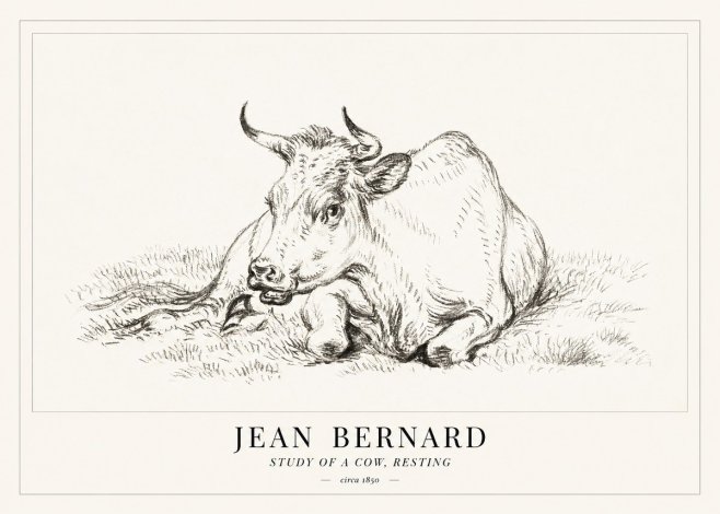 Jean Bernard Study of a Cow, Resting No1 - Plakat
