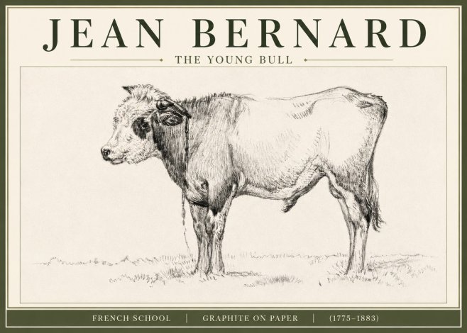 Jean Bernard The Young Bull No3 - Plakat