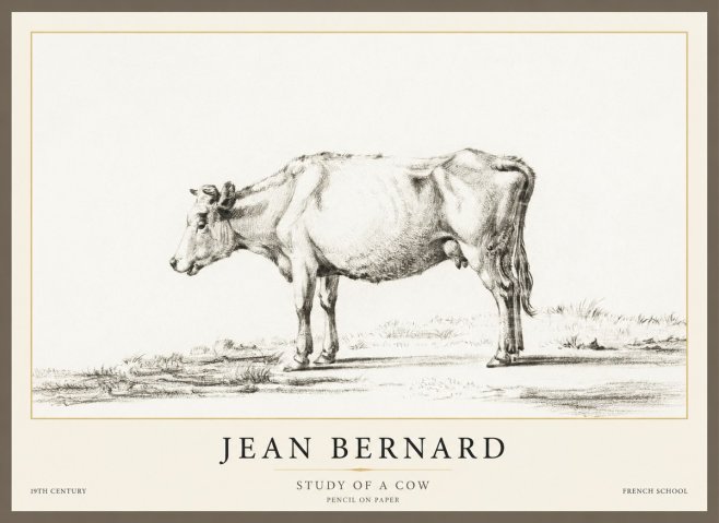 Jean Bernard Study of a Cow XI No1 - Plakat