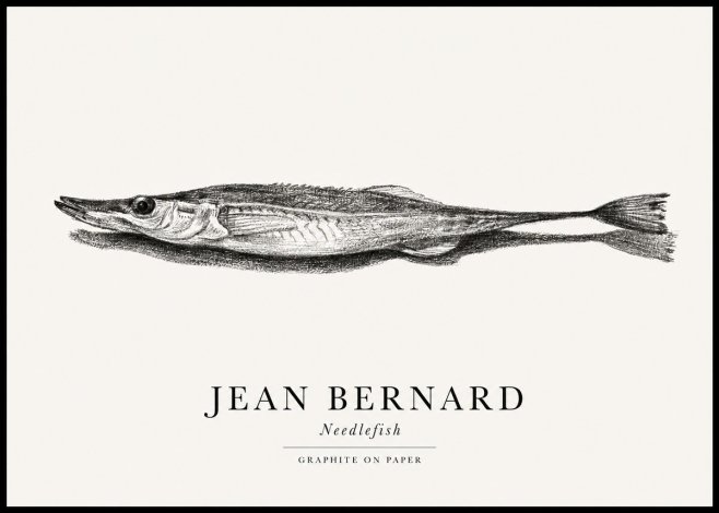 Jean Bernard Needlefish No1 - Plakat