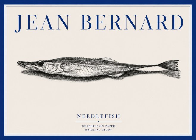 Jean Bernard Needlefish No3 - Plakat