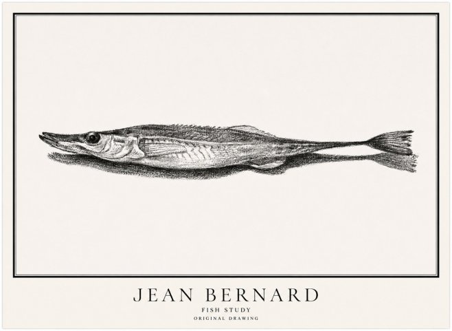 Jean Bernard Needlefish No5 - Plakat