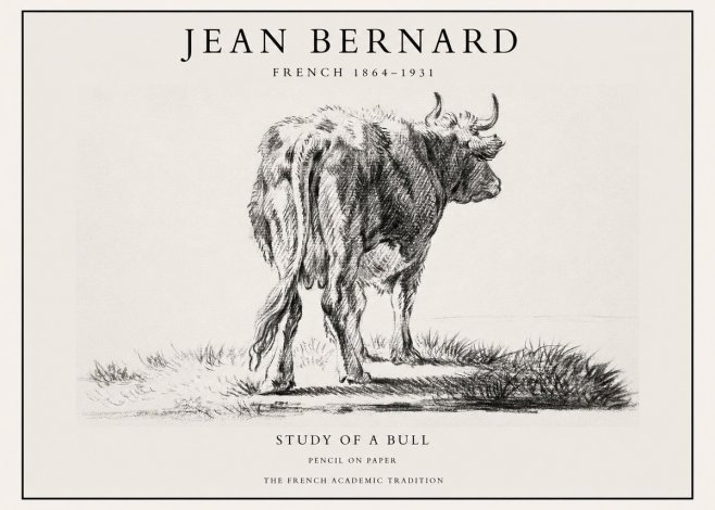 Jean Bernard Study of a Bull V No1 - Plakat
