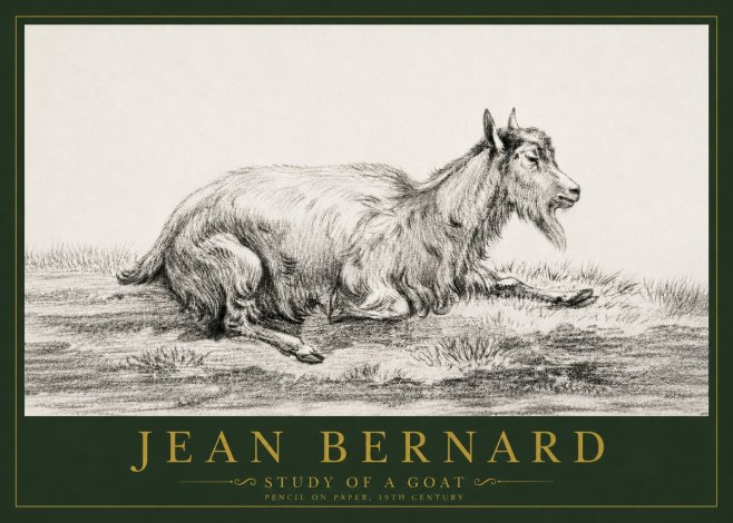 Jean Bernard Study of a Goat V No4 - Plakat