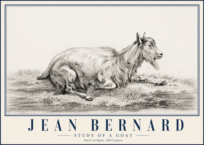 Jean Bernard Study of a Goat V No5 - Plakat