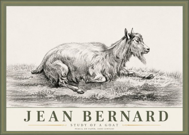 Jean Bernard Study of a Goat V No6 - Plakat