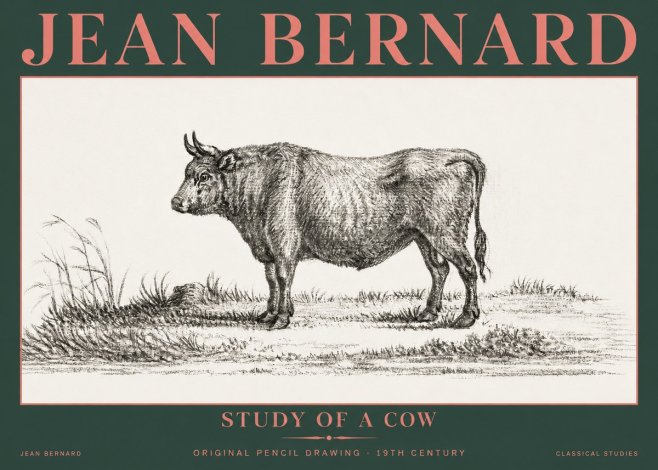 Jean Bernard Study of a Cow XIII No5 - Plakat